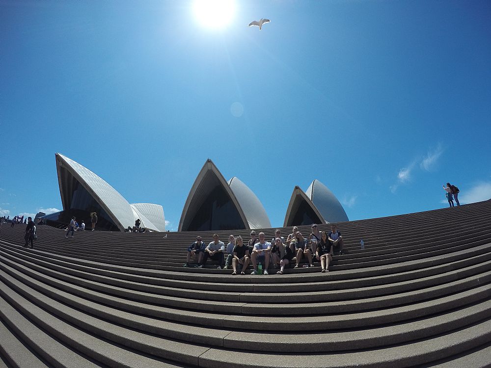 Hæng ud foran det ikoniske Sydney Opera House