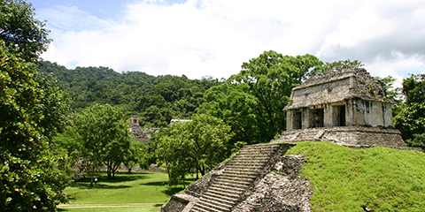 Mayakultur